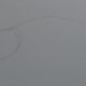 I started off by drawing a head shape and backbone line.
