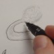 Start to ink the tail.