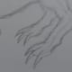 Draw the back legs clearer and more defined.
