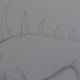 Draw some spikes along the spine.