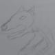 Draw a bottom jaw and an eye shape.
