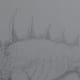 Pencil shade the spikes on the spine.