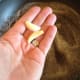 If you are using the garlic, add 2 cloves that have been peeled.
