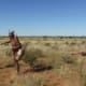Khoisan keeping their tradition alive in South Africa