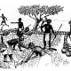 Drawing of Tswana Villiage in the 1600s