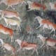 Khoisan Rock Art