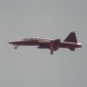 A T-38 in flight over Andrews AFB, MD, during its Joint Service Open House.
