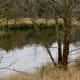keith-wiess-park-natural-beauty-in-northeast-houston