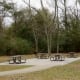 Park Picnic Tables