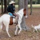 Francisco and his horse named Pinto in Keith-Wiess Park