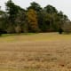 keith-wiess-park-natural-beauty-in-northeast-houston