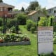 Church garden