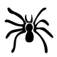 Free black and white spider