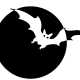 Bat and full moon black and white