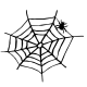 Black and white spider web and spider