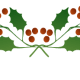 Top holly border one.