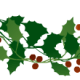 Botton holly border two.