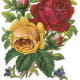 Vintage Valentine's flower bouquet with pink, yellow and red roses