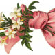 Vintage pink ribbon with white flowers Valentine's Day clip art