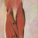 forearms