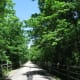 bike-trail-indiana
