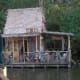 Magic Kingdom Jungle Cruise