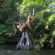 Magic Kingdom Jungle Cruise
