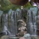 Magic Kingdom Jungle Cruise