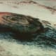 Olympus Mons