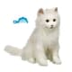 FurReal Kitty Cat White