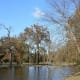 Shelby Park.