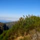 madeiras-3-peak-mountain-hike