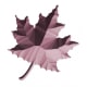 Textured foliage 5.