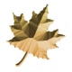 Textured foliage 2.