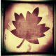 Grungy leaf clip art 3.