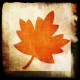 Grungy leaf fall clip art 1.