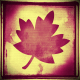 Grungy leaf fall clip art 2.