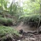 This is the dinosaur digging site where the Hadrosaurus foulkii was found.