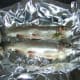 Rainbow trout in foil for baking