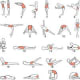 Yoga Chart of Different Exercises