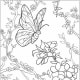 Kids Vegetable Gardening Coloring Pages Free Colouring Pictures to Print