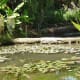 parc-floral-et-tropical-vendee-france
