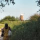 Horsey Windmill in the Norfolk Broads