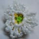 Daisy Flower Back View