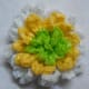 Daisy Flower Top View