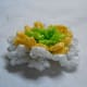 Daisy Flower Side View