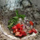 drumstick-sambar-and-aloo-channa-fry