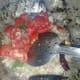 drumstick-sambar-and-aloo-channa-fry
