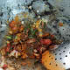 drumstick-sambar-and-aloo-channa-fry