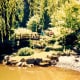 Strolling Pond Garden